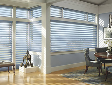 Dual System Blinds